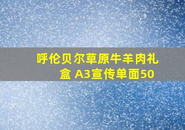 呼伦贝尔草原牛羊肉礼盒 A3宣传单面50